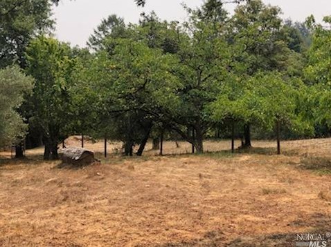 3431 Burnside Rd, Sebastopol CA  95472-9139 exterior