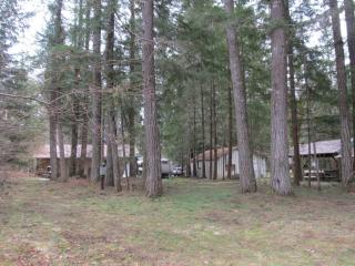 144 Mount Rainier Dr, Packwood WA  98361-9733 exterior