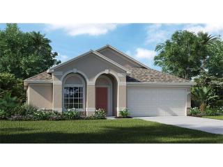 10232 Celtic Ash Dr, Ruskin, FL 33573-6733