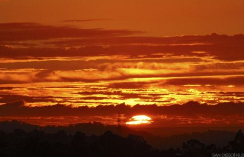 8963 Adobe Bluffs Dr, San Diego CA 92129-4400 exterior