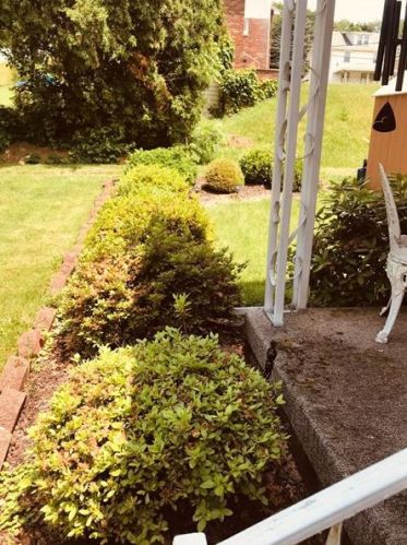 721 Monroe St, New Castle PA  16101-4546 exterior