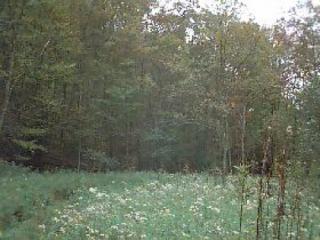 499 Laurel Run Rd, Dunmore, WV 24934