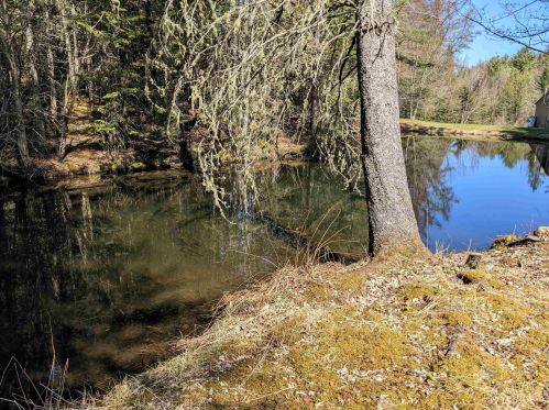566 Bishop Brook Rd, Columbia, NH 03576-5314