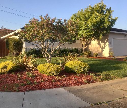 791 La Alondra Way, Gilroy, CA 95020-4104