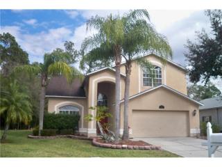16105 Wentworth Way, Odessa FL  33556-5711 exterior