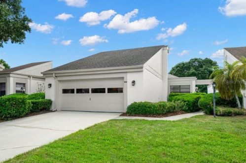 100 Lisa Ln, Oldsmar FL  34677-2369 exterior