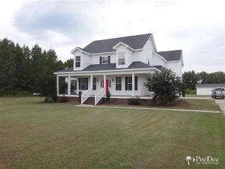 1703 Willow Point Rd, Effingham SC  29541-3359 exterior
