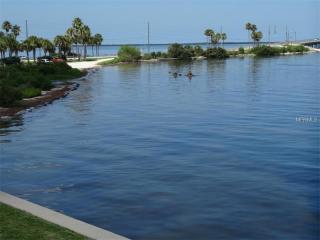 2616 Saint Joseph Dr, Dunedin, FL 34698-1712