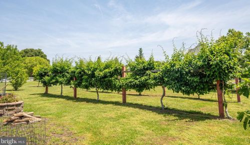 8574 Gray Fox Ln, Owens VA  22485-3572 exterior