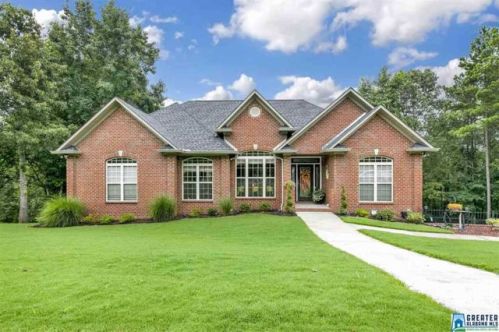120 Ridgewood Ln, Branchville, AL 35120-4744