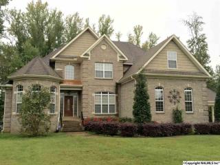 128 Joe Phillips Rd, Madison, AL 35758-9776