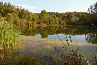 59 Greenbriar Rd, Lawrenceburg, TN 38464-6427