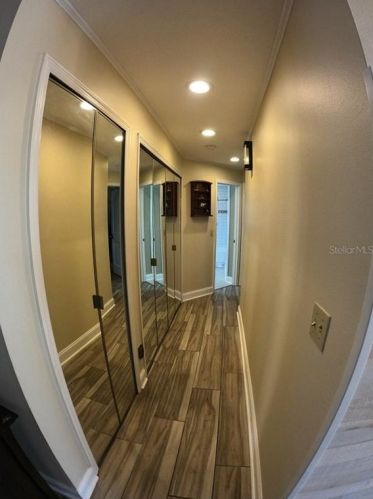 801 Live Oak Ave, Saint Petersburg FL  33703-3177 exterior