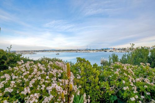 2980 Nichols St, San Diego CA  92106-3425 exterior