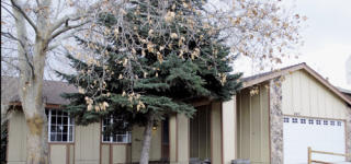 4410 Mira Loma Dr, Reno, NV 89502-5328