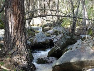 43929 Badger Hollow Trl, Oakhurst, CA 93644-9163
