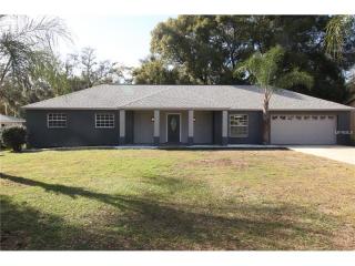 1408 Gertrude Dr, Brandon, FL 33511-6434