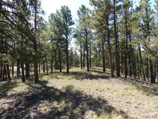 229 Gabbert Dr, Horn Creek, CO 81252-9751