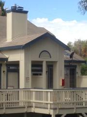 3439 Wells Rd, Oakley, CA 94561-5006