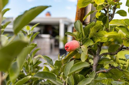 578 Prospero Dr, Covina CA  91723-3250 exterior