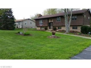 1949 Custer Orangeville Rd, Masury, OH 44438-9755