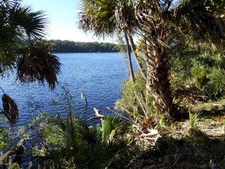 142 Acosta Creek Dr, Satsuma, FL 32189-3320