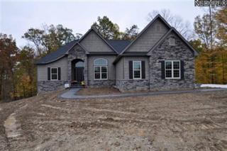4085 Preserve Run Cir, Medina, OH 44256-6431