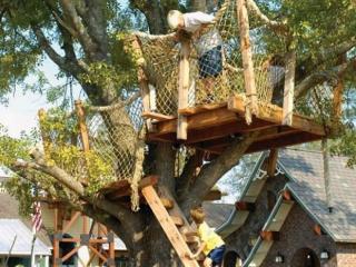 1383 Eagle Crossing Dr, Orange Park FL  32065-2556 exterior