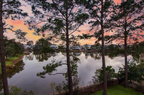 2601 Crooked Stick Ln, Mount Pleasant SC  29466-8738 exterior