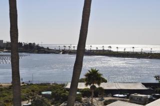 331 Olive Ave, Carlsbad CA  92008-7437 exterior