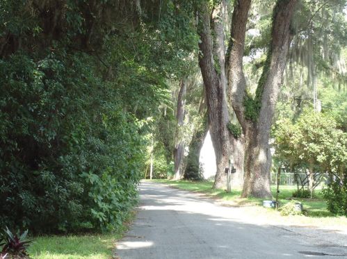 13291 122nd Pl, Ocklawaha FL  32179-5138 exterior