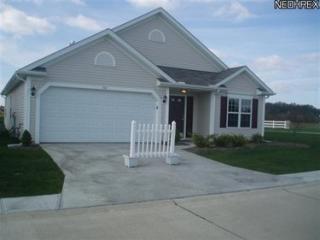 332 Breckenridge Oval, Elyria, OH 44035-8990