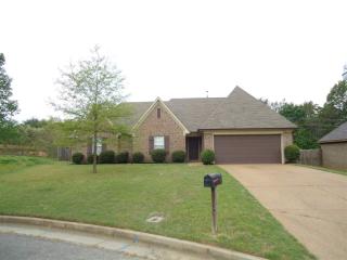 345 Village Dr, Somerville, TN 38060-4881