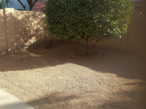 4357 Vaughn Ave, Gilbert AZ  85234-0745 exterior