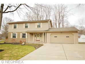 101 Dennis Dr, Mecca, OH 44410-1133