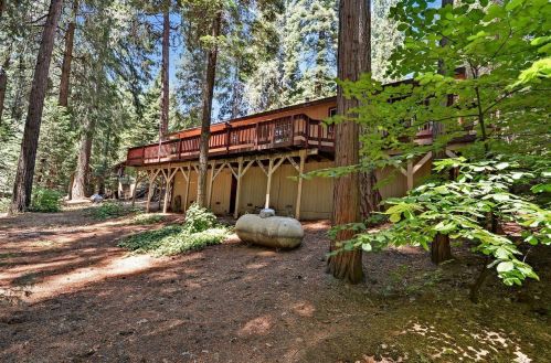 3626 Gold Ridge Trl, Pacific House CA  95726-9734 exterior
