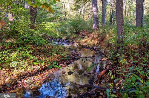 1788 Dellinger Gap Rd, Edinburg VA  22824-2503 exterior