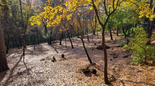 10253 Timberland Dr, Grass Valley CA  95949-9160 exterior