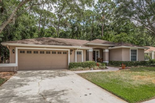 3431 Tanglewood Trl, Palm Harbor, FL 34685-1841