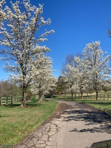 180 Cowperthwaite Rd, Bedminster NJ  07921-2904 exterior