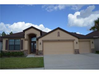 8522 White Poplar Dr, Riverview, FL 33578-8636