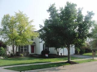6323 Meaghan Dr, Dublin, OH 43016-9187