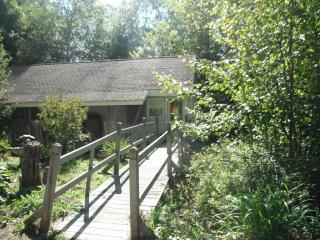 361 Bog Rd, Hillsboro NH  03244-4408 exterior