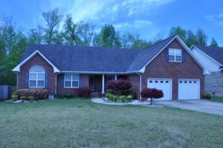 7219 Scenic View Dr, Fayetteville NC  28306-8277 exterior