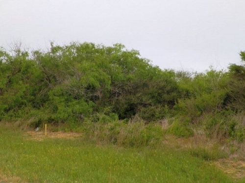 424-425 Fm 1360, Bonnie View, TX 78393