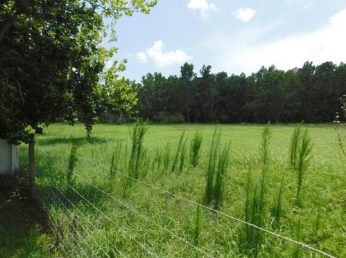 3541 Golden Eagle Dr, Land O Lakes FL  34639-9551 exterior