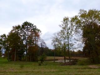 411 Willard Way, Blaine, TN 37709-2258