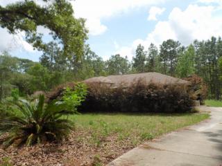1858 Tacoma St, Hernando FL  34442-3259 exterior