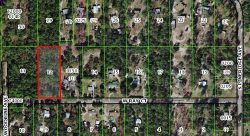 6869 Ray Ct, Homosassa, FL 34448-2244