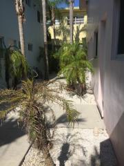 8300 Crespi Blvd, Miami FL  33141-1305 exterior